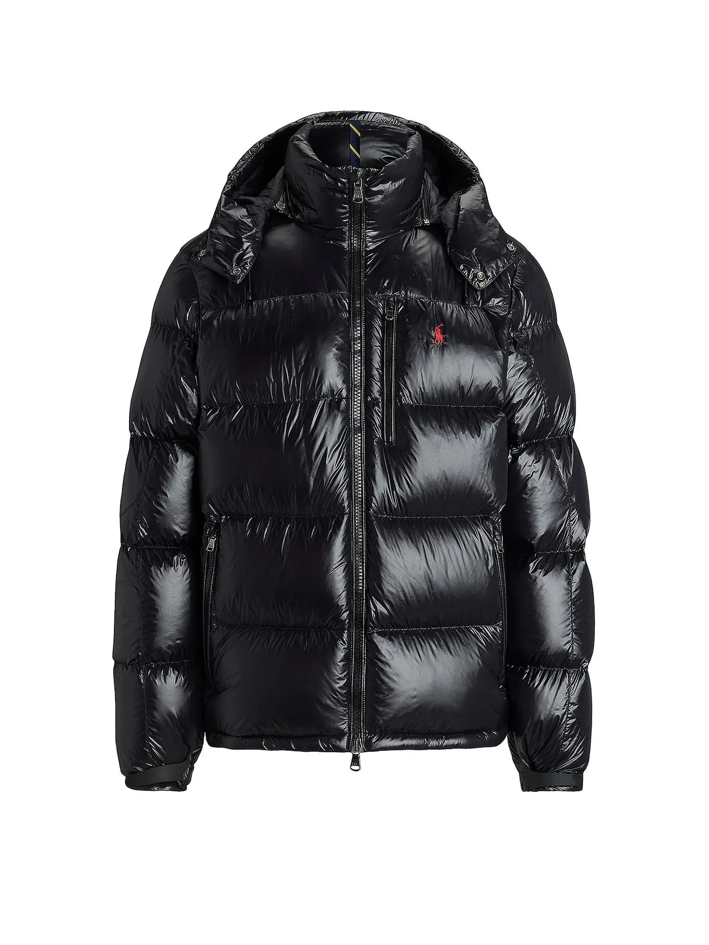 "RL" Shiny Puffer